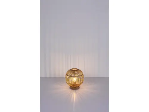 222386_GLOBO 15368T 4